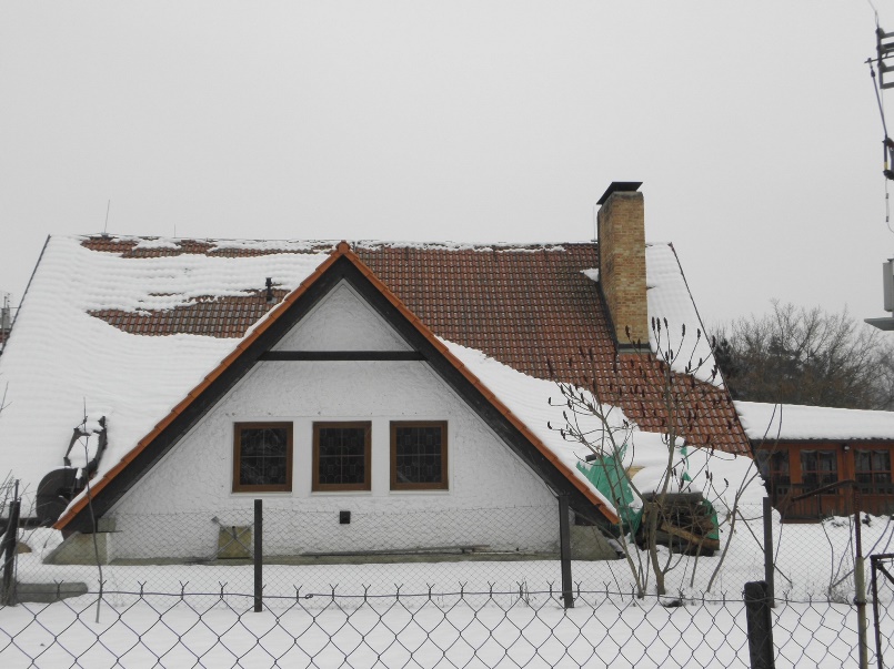一階はどうした？東欧チェコの正統派な大屋根の家！の画像