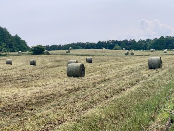 岩手県滝沢市で牧場の干し草収穫の画像