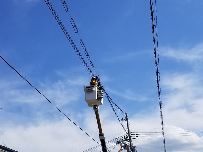 電線用鳥害対策 (1)の画像