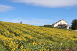 岩手県奥中山のひまわりの丘の家 (1)の画像